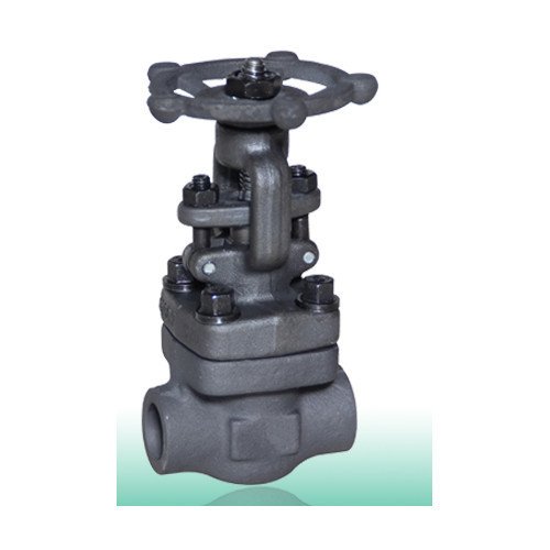 Class 800 Globe Valve
