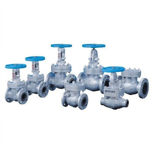 Industrial Globe and Check Valve